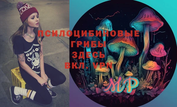 бошки Лагань