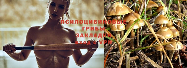 бошки Лагань